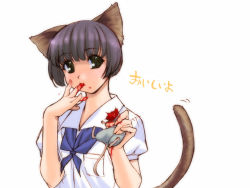 Rule 34 | 1girl, animal ears, black eyes, black hair, blood, blood on face, cat ears, cat tail, eating, food, food on face, guro, ino (magloid), licking, licking finger, mouse (animal), school uniform, serafuku, short hair, solo, tail, translated, what