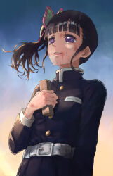 Rule 34 | 1girl, belt, black hair, blue sky, bruise, bruise on face, butterfly hair ornament, crying, crying with eyes open, demon slayer uniform, gradient sky, hair ornament, highres, holding, ico6, injury, kimetsu no yaiba, morning, orange sky, outdoors, partially blind, purple eyes, side ponytail, sky, solo, tears, tsuyuri kanao, white belt