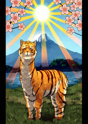Rule 34 | alpaca, cherry blossoms, chimera, chimera (creature), flower, lake, looking at viewer, mount fuji, mountain, no humans, original, outdoors, parody, pillarboxed, shihou (g-o-s), solo, sun, tiger, what