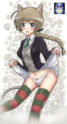 Rule 34 | 00s, 1girl, animal ears, braid, cat ears, cat tail, clothes lift, lynette bishop, necktie, panties, shouseki (pixiv75889), single braid, skirt, skirt lift, solo, strike witches, tail, thighhighs, underwear, world witches series