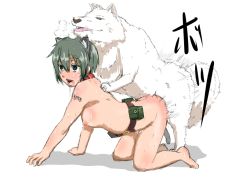 Rule 34 | 00s, 1girl, ahegao, all fours, animal ears, barcode, barefoot, belt, bestiality, blush, breasts, cat ears, collar, dog, doggystyle, drooling, empty eyes, from side, fucked silly, green eyes, green hair, kemonomimi mode, kino (kino no tabi), kino no tabi, kneeling, kongari tokei, moaning, motion lines, nipples, nude, open mouth, pouch, saliva, sex, sex from behind, short hair, simple background, small breasts, sweat, tattoo, tears, tongue, tongue out, utility belt, vaginal, white background