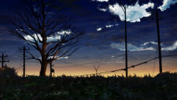 Rule 34 | blue sky, cable, cloud, cloudy sky, commentary request, grass, highres, night, night sky, no humans, original, outdoors, scenery, sky, sunrise, tree, utility pole, y y (ysk ygc)