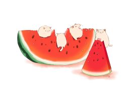 Rule 34 | animal focus, artist name, cat, chai (drawingchisanne), commentary request, food, food focus, fruit, highres, no humans, original, simple background, sitting on food, watermelon, white background