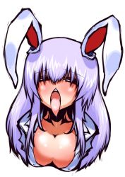 Rule 34 | 1girl, animal ears, bad id, bad pixiv id, blush, breasts, rabbit ears, chestnut mouth, cleavage, dress shirt, covered erect nipples, female focus, ichi (ichikai), large breasts, long hair, open mouth, purple hair, red eyes, reisen udongein inaba, saliva, saliva trail, shirt, solo, tongue, tongue out, touhou