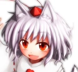 Rule 34 | 1girl, animal ears, clses, fang, female focus, hat, inubashiri momiji, looking at viewer, open mouth, portrait, profile, red eyes, short hair, smile, solo, tokin hat, touhou, white background, white hair, wolf ears