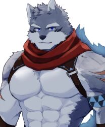 Rule 34 | 1boy, bara, character request, chest belt, crave saga, furry, furry male, grey fur, large pectorals, looking at viewer, male focus, muscular, muscular male, nattukre, nipples, pectorals, scar, short hair, smile, solo, upper body, wolf boy
