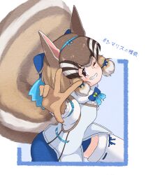 Rule 34 | 1girl, 38b48bfrm, absurdres, animal ears, brown eyes, brown hair, chipmunk ears, chipmunk girl, chipmunk tail, extra ears, gloves, highres, kemono friends, kemono friends v project, looking at viewer, microphone, one eye closed, ribbon, shirt, short hair, shorts, siberian chipmunk (kemono friends), simple background, solo, tail, thighhighs, vest, virtual youtuber