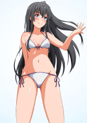 1girl bikini black_hair blue_eyes blush breasts closed_mouth collarbone commentary_request highres konoyan long_hair looking_at_viewer navel small_breasts smile solo standing swimsuit yahari_ore_no_seishun_lovecome_wa_machigatteiru. yukinoshita_yukino