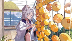 Rule 34 | 1girl, animal ear fluff, animal ears, blush, bow, closed mouth, commentary request, day, food, food request, full body, grey hair, hair bow, highres, holding, holding food, japanese clothes, kimono, lamb (hitsujiniku), long sleeves, obi, outdoors, parted bangs, pink bow, power lines, purple eyes, railing, sash, solo, touhoku itako, utility pole, voiceroid, white kimono, wide sleeves