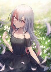 Rule 34 | 1girl, absurdres, bare shoulders, black dress, blue eyes, blurry, blurry foreground, blush, breasts, cleavage, closed mouth, dress, eyelashes, field, flower, flower field, gradient hair, grey hair, hair between eyes, highres, holding, holding flower, icetea774, lily (flower), long eyelashes, long hair, multicolored eyes, multicolored hair, original, outdoors, pink eyes, pink lips, red hair, sitting, solo, spring (season), white flower