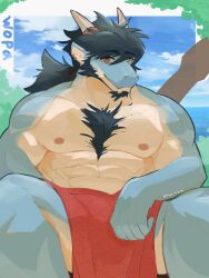 Rule 34 | 1boy, abs, animal ears, another eidos-r, artist name, bara, beard, black beard, black hair, blue sky, cloud, dragon boy, dragon ears, dragon horns, facial hair, folker (another eidos), furry, furry male, goatee, highres, horns, hoshimiy4a, looking at viewer, male focus, muscular, muscular male, nipples, pectorals, ponytail, red loincloth, sitting, sky, smile, topless male
