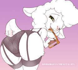 Rule 34 | 1girl, ass, dawn bellwether, disney, female focus, furry, furry female, glasses, gradient background, green eyes, long hair, looking at viewer, looking back, notama, purple background, sheep, solo, underwear, white hair, zootopia