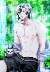 Rule 34 | 1boy, animal, bird, black hair, breasts, father (nu carnival), food, food in mouth, green eyes, grey hair, highres, looking at viewer, male focus, mole, mole on breast, mole under mouth, multicolored hair, nipples, no shirt, nu carnival, owl, pectorals, popsicle, popsicle in mouth, rei (nu carnival), see-through, see-through sleeves, short hair, short ponytail, shorts, sitting, sitting in water, water, wet, yadome810