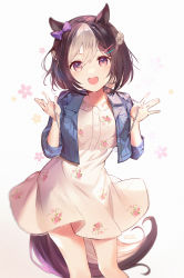 Rule 34 | 1girl, animal ears, blue jacket, blush, braid, brown hair, buttons, commentary, dress, feet out of frame, floral print, hair between eyes, hair ornament, hairclip, highres, horse ears, horse girl, horse tail, jacket, kita (kitairoha), long sleeves, looking at viewer, multicolored hair, open clothes, open jacket, open mouth, purple eyes, short hair, smile, solo, special week (umamusume), tail, teeth, two-tone hair, umamusume, upper teeth only, white dress, white hair