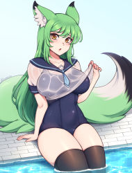 Rule 34 | 1girl, absurdres, animal ears, arm support, black thighhighs, blue one-piece swimsuit, blush, breasts, brown eyes, collarbone, commission, fox ears, fox girl, fox tail, green hair, highres, large breasts, looking at viewer, one-piece swimsuit, original, parted lips, school swimsuit, sitting, solo, swimsuit, tail, the scarlet devil, thick thighs, thighhighs, thighs, water