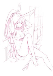 Rule 34 | 1girl, animal ears, armlet, bandeau, barefoot, closed mouth, drying, drying hair, earrings, facial mark, fate/grand order, fate (series), fiodo, hair tubes, high ponytail, highres, hoop earrings, indoors, jewelry, leg up, long hair, looking at viewer, monochrome, nitocris (fate), panties, ponytail, sidelocks, sitting, sketch, smile, solo, towel, towel on head, underwear, unfinished, very long hair, wet