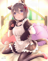 Rule 34 | 1girl, animal ear fluff, animal ears, apron, backlighting, black pantyhose, blue eyes, blush, cat ears, chita (ketchup), fake animal ears, frilled apron, frilled pillow, frilled sleeves, frills, grey hair, hair between eyes, highres, indoors, light rays, looking at viewer, maid, maid headdress, on bed, original, pantyhose, parted lips, pillow, pink footwear, puffy short sleeves, puffy sleeves, shoes, short hair, short sleeves, signature, solo, sunbeam, sunlight, twitter username