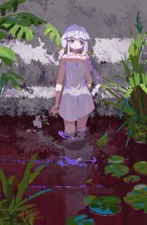Rule 34 | airfish (lefko d), braid, closed mouth, dot mouth, dress, flower, highres, lily pad, long hair, original, outdoors, pond, solo, twin braids, twintails, wading, white dress, white hair