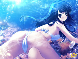 Rule 34 | bikini, blue eyes, blue hair, blush, bow, from behind, highres, long hair, looking back, mikeou, smile summer again, solo, spread legs, swimsuit, underwater