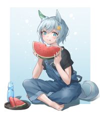 Rule 34 | 1girl, :t, absurdres, animal ears, barefoot, bite mark, black shirt, blue eyes, blue hair, blue overalls, blush, bottle, chinese commentary, closed mouth, commentary request, ear covers, eating, flower, food, food on face, fruit, full body, hair flower, hair ornament, highres, holding, holding food, holding fruit, horse ears, horse girl, horse tail, indian style, joeychen, looking at viewer, overalls, seiun sky (umamusume), shirt, short hair, short sleeves, sitting, solo, tail, two-tone background, umamusume, watermelon, watermelon slice