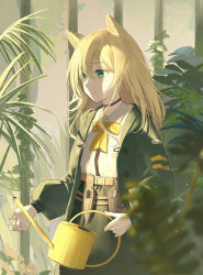 Rule 34 | 1girl, animal ears, arknights, blonde hair, blurry, blurry foreground, bow, closed mouth, collared shirt, commentary request, depth of field, green eyes, green jacket, green skirt, hair between eyes, highres, holding, jacket, jfjf, long hair, long sleeves, looking away, open clothes, open jacket, plant, podenco (arknights), puffy long sleeves, puffy sleeves, shirt, skirt, smile, solo, watering can, white shirt, yellow bow