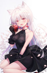 Rule 34 | 1girl, :o, absurdres, animal ear fluff, animal ears, antenna hair, apple, bare arms, bare shoulders, black dress, black gloves, blush, breasts, cat ears, cat girl, cat tail, collarbone, dress, earrings, fang, food, fruit, gloves, halter dress, halterneck, highres, holding, holding food, holding fruit, jewelry, kyubi (99b 1226), long hair, looking at viewer, medium breasts, open mouth, original, red eyes, sitting, sleeveless, sleeveless dress, solo, tail, thighs, very long hair, wariza, white hair