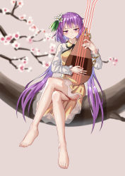 Rule 34 | 1girl, absurdres, ailu elf, barefoot, blurry, blurry background, blush, branch, breasts, chain, cherry blossoms, daisy, dress, flower, full body, hair flower, hair ornament, hand up, highres, holding, holding instrument, instrument, long hair, looking at viewer, medium breasts, outdoors, pink background, purple eyes, purple hair, simple background, sitting, solo, toes, touhou, tsukumo benben, very long hair, white dress, white flower