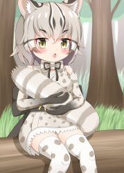 Rule 34 | 1girl, absurdres, animal ear fluff, animal ears, bare shoulders, black hair, blush, brown eyes, chestnut mouth, day, elbow gloves, gloves, grey hair, highres, hugging own tail, hugging tail, japanese clothes, kemono friends, kimono, looking at viewer, multicolored hair, open mouth, outdoors, panties, polka dot, polka dot gloves, polka dot kimono, polka dot legwear, shin01571, sitting, sleeveless, sleeveless kimono, solo, streaked hair, striped tail, tail, thick eyebrows, thighhighs, tree, tsushima leopard cat (kemono friends), underwear, v-shaped eyebrows, white hair, white panties, white thighhighs