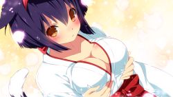 Rule 34 | 1girl, :/, animal ears, blush, breast hold, breast lift, breasts, brown eyes, cat ears, cat tail, cleavage, closed mouth, collarbone, dutch angle, game cg, hair between eyes, hairband, hakama, hakama skirt, inma, japanese clothes, kayo (sakura shrine girls), kimono, large breasts, lens flare, lifting own clothes, looking at viewer, purple hair, sakura shrine girls, short hair, skirt, solo, sparkle, tail, upper body