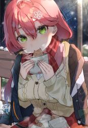 Rule 34 | 1girl, ahoge, bench, black bow, black jacket, blush, bow, cable knit, cardigan, commentary, eating, food, green eyes, hair between eyes, hair ornament, hairclip, highres, holding, holding food, hololive, jacket, jacket on shoulders, kashio (92984798), looking at viewer, official alternate costume, outdoors, pink hair, plaid, plaid scarf, red scarf, red skirt, sakura miko, sakura miko (casual), scarf, sitting, skirt, snow, solo, steam, taiyaki, twintails, virtual youtuber, wagashi, yukimin (yukihana lamy)