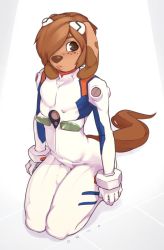 Rule 34 | 1boy, androgynous, animal ears, ayanami rei, ayanami rei (cosplay), bodysuit, brown eyes, cosplay, crossdressing, curvy, dog ears, dog tail, doxy, freckles, furry, furry male, kneeling, lips, male focus, marty (onta), neon genesis evangelion, plugsuit, skin tight, tail, trap, white bodysuit