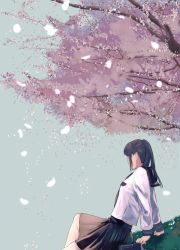 Rule 34 | 1girl, arm support, black sailor collar, black skirt, cherry blossoms, commentary request, facing away, from side, grass, leaning back, long sleeves, munakata (hisahige), original, outdoors, petals, pleated skirt, ponytail, sailor collar, school uniform, serafuku, shirt, sitting, skirt, solo, tree, white shirt