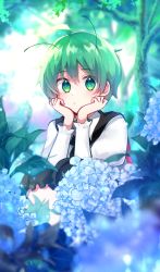 Rule 34 | 1girl, ahoge, androgynous, antennae, black cape, black shorts, blue flower, blush, cape, closed mouth, collared shirt, commentary request, day, feet out of frame, flower, green eyes, green hair, hair between eyes, hands on own cheeks, hands on own face, highres, hydrangea, katsuobushi (eba games), long sleeves, looking at viewer, outdoors, red cape, shirt, short hair, shorts, solo, sparkle, squatting, touhou, tree, two-sided cape, two-sided fabric, white shirt, wriggle nightbug