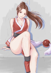 Rule 34 | 1girl, absurdres, bare shoulders, breasts, brown eyes, brown hair, cleavage, fatal fury, female focus, highres, large breasts, leg lift, long hair, looking at viewer, matching hair/eyes, ninja, pelvic curtain, ponytail, revealing clothes, shadow, shiranui mai, silhouette, sitting, snk, solo, tabi, the king of fighters, tyanoki
