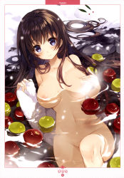 Rule 34 | 1girl, absurdres, apple, artist name, bathing, blue eyes, blush, breast press, brown hair, closed mouth, collarbone, convenient censoring, convenient leg, dengeki moeou, food, from above, fruit, hand on own chest, highres, knee up, long hair, lying, navel, nude, on back, onsen, page number, partially submerged, rock, scan, smile, solo, steam, steam censor, stomach, tareme, towel, water, water drop, yusano