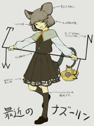 Rule 34 | 1girl, animal ears, bad id, bad pixiv id, basket, dowsing rod, female focus, grey background, highres, jewelry, mouse (animal), nazrin, necklace, open mouth, red eyes, shiba itsuki, short hair, silver hair, simple background, skirt, smile, solo, tail, touhou, translation request, weather vane