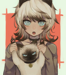 Rule 34 | 1girl, :o, animal, animal ears, arms up, black choker, blue eyes, cat, cat ears, chestnut mouth, choker, grey shirt, highres, holding, holding animal, holding cat, jewelry, kirudai, long sleeves, looking at viewer, open mouth, original, pendant, shirt, slit pupils, solo, white hair