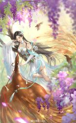 Rule 34 | 1girl, absurdres, bare shoulders, bird, black hair, closed mouth, detached collar, detached sleeves, doupo cangqiong, dress, earrings, expressionless, falling petals, flower, flying, gu xun er (doupo cangqiong), hand in own hair, highres, jewelry, long hair, looking down, lying, peacock feathers, petals, second-party source, tree, white dress, wisteria, xiaoxuan chuang wxc