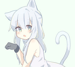 Rule 34 | animal ears, arknights, bare shoulders, black gloves, blue eyes, blush, cat ears, cat girl, cat tail, dress, gloves, grey hair, hair between eyes, hand up, highres, long hair, looking at viewer, looking to the side, open mouth, paw pose, rosmontis (arknights), ryoku sui, sleeveless, sleeveless dress, tail, tail raised, white dress