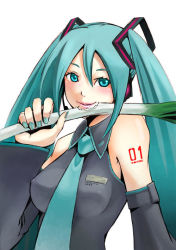 Rule 34 | green eyes, green hair, hatsune miku, solo, spring onion, tagme, twintails, vocaloid