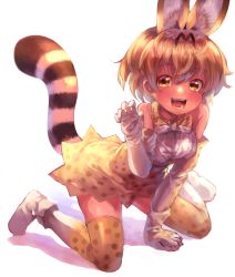 Rule 34 | 10s, absurdres, animal ears, blush, bow, bowtie, denchu (kazudentyu), elbow gloves, gloves, highres, kemono friends, looking at viewer, open mouth, orange bow, orange bowtie, orange eyes, orange hair, orange thighhighs, serval (kemono friends), serval tail, short hair, smile, solo, tail, teeth, thighhighs, white gloves