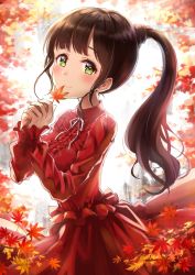 Rule 34 | 1girl, autumn leaves, black hair, blush, dress, green eyes, long hair, looking at viewer, original, red dress, side ponytail, smile, solo, takeashiro