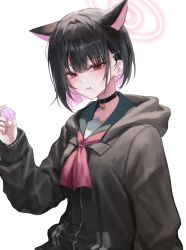 Rule 34 | 1girl, :t, animal ears, asymmetrical sidelocks, black choker, black hair, black jacket, blue archive, blunt bangs, blunt ends, bob cut, cat ears, chabi, choker, colored inner hair, food, food in mouth, green sailor collar, hair behind ear, hair ornament, hairclip, halo, hand up, highres, holding, holding food, hood, hood down, jacket, kazusa (blue archive), long sleeves, looking at viewer, macaron, multicolored hair, neckerchief, pink hair, pink halo, puffy long sleeves, puffy sleeves, red eyes, red neckerchief, sailor collar, short hair, simple background, solo, two-tone hair, upper body, white background