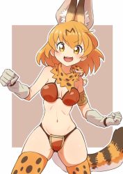 Rule 34 | 1girl, adapted costume, animal ears, animal print, armor, bare shoulders, bikini armor, commentary, cropped legs, doodle, gloves, hair between eyes, kamuraaa 615, kemono friends, midriff, navel, orange eyes, orange hair, outline, serval (kemono friends), short hair, simple background, skindentation, smile, solo, thighhighs, white outline