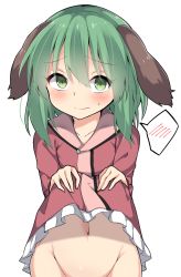 Rule 34 | 1girl, amashi (qcmrq906), animal ears, bad id, bad pixiv id, bottomless, clothes lift, dress, dress lift, green eyes, green hair, hair between eyes, highres, kasodani kyouko, lifted by self, long sleeves, looking at viewer, navel, out-of-frame censoring, simple background, solo, spoken blush, sweatdrop, touhou, white background