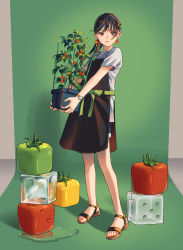 1girl absurdres apron bare_legs black_apron black_hair blue_shorts brown_eyes closed_mouth commentary_request denim denim_shorts earrings full_body hair_ornament hairclip highres holding jewelry long_hair looking_at_viewer melting nail_polish original plant ponytail potted_plant sandals shadow shirt short_sleeves shorts smile solo standing tomato watch white_shirt wristwatch yuzor_a_rancia