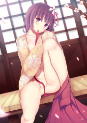 Rule 34 | 1girl, bottomless, collarbone, convenient censoring, daiaru, flower, hair flower, hair ornament, head tilt, hieda no akyuu, highres, japanese clothes, kimono, leg up, looking at viewer, mouth hold, naked kimono, navel, open clothes, open kimono, open shirt, partially visible vulva, purple eyes, purple hair, ribbon, ribbon in mouth, shirt, sitting, solo, touhou