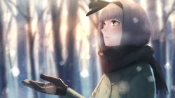 Rule 34 | 1girl, amino (tn7135), black gloves, black scarf, blunt bangs, blurry, blush, bokeh, breath, coat, depth of field, forest, gloves, grey hair, hairband, hand up, konpaku youmu, long sleeves, looking up, nature, outdoors, parted lips, scarf, short hair, snowing, solo, touhou, tree, upper body, winter, winter clothes, yellow eyes