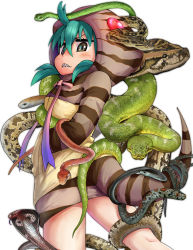 Rule 34 | 1girl, annotated, aqua hair, cobra (animal), commentary, doitsuken, from behind, hands in pockets, hood, hood up, hoodie, kemono friends, looking at viewer, looking back, neck ribbon, ribbon, sharp teeth, simple background, snake, snake tail, solo, striped clothes, striped hoodie, striped tail, tail, teeth, translated, tsuchinoko (kemono friends), white background
