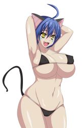 Rule 34 | 10s, 1girl, absurdres, ahoge, alternate costume, animal ears, armpits, artist request, bikini, black bikini, breasts, cat demon girl (shinmai maou no testament burst), cat ears, cat girl, cat tail, cleavage, covered erect nipples, cowboy shot, curvy, fang, female focus, hair between eyes, hair intakes, halterneck, highres, large breasts, micro bikini, shinmai maou no testament, shiny skin, skindentation, solo, source request, standing, string bikini, swimsuit, tail, thighs, transparent background, wide hips